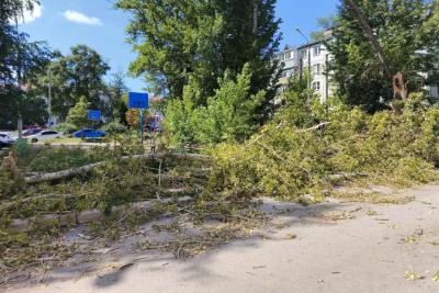 В Самаре три дня не могут убрать дерево, упавшее на детскую площадку в Промышленном районе: что произошло