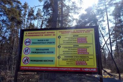 Лесам Самарской области грозит высокая пожарная опасность