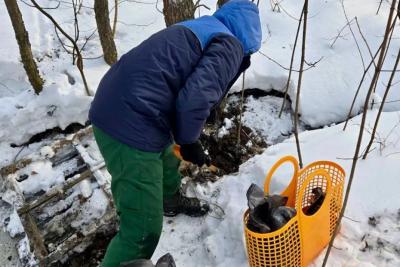 Загрязнение почвы самарского памятника природы стоками канализации обошлось нарушителям в миллион рублей - фото