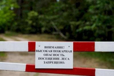 Высокая пожарная опасность лесов сохранится в Самарской области до 4 октября