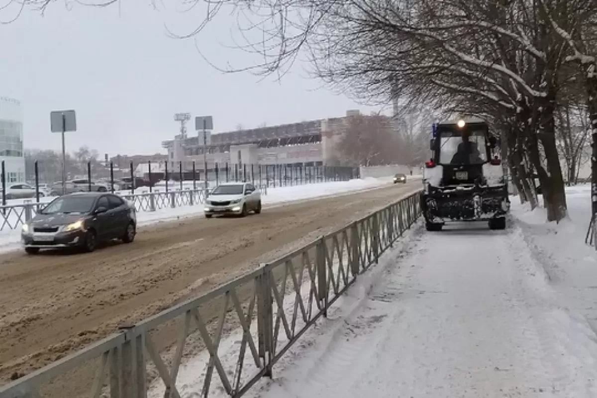 Самарские депутаты предложили вместо елок тратить деньги на уборку снега