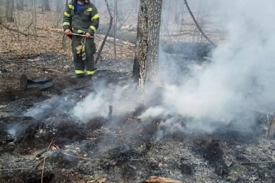 В Самарской области первый лесной пожар в новом сезоне случился 17 апреля