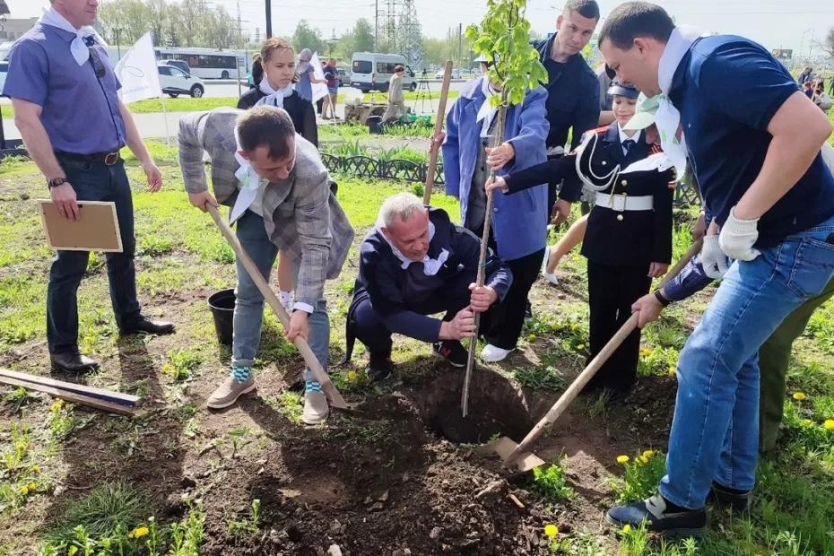 Липовую аллею высадили вдоль Московского шоссе в Самаре 27 апреля