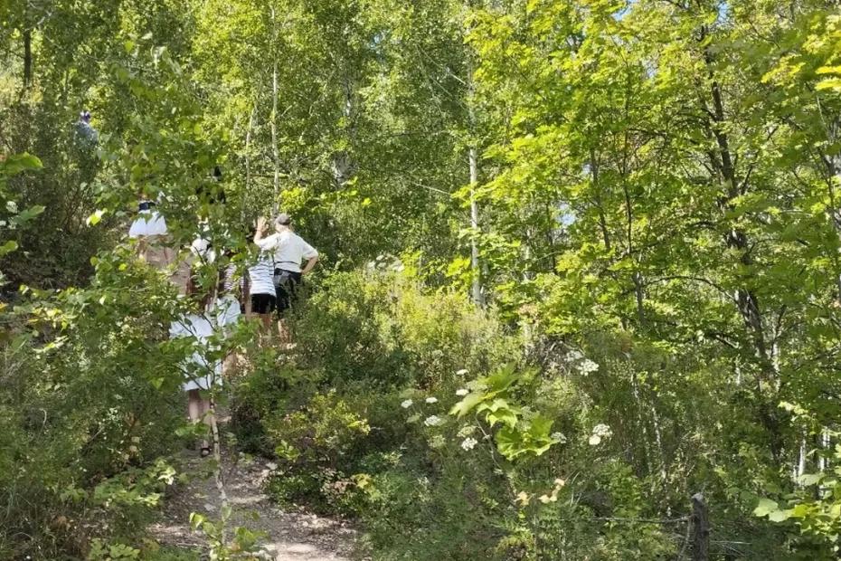 Шесть загадочно исчезнувших в августе самарцев нашли мертвыми