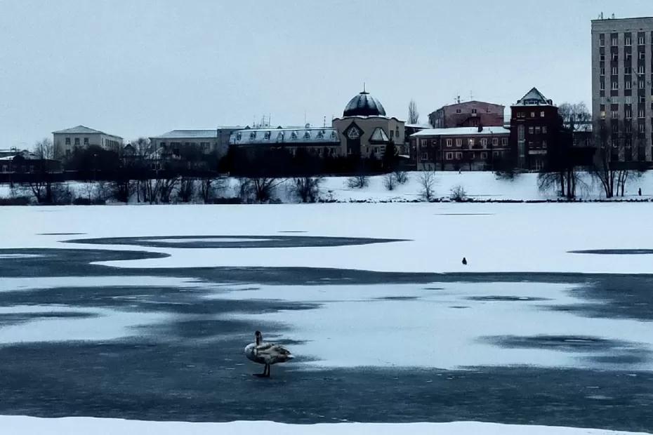 «Грядущие декабрь и январь будут безумными». Синоптики сказали, к чему надо начинать готовиться