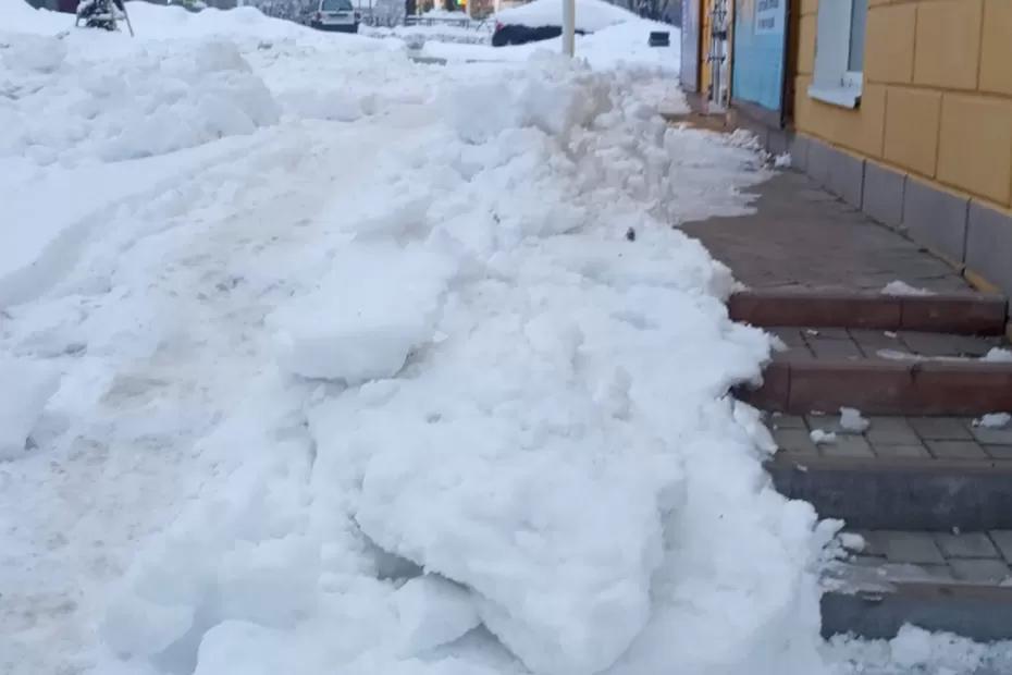 «В феврале начнется полный климатический хаос»: синоптики дали новый прогноз на конец зимы