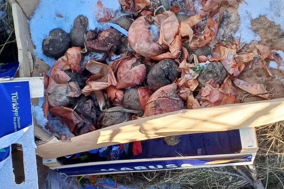 АО «Экология» взяло на контроль несанкционированную свалку в Самарской области АО «Экология» взяло на контроль несанкционированную свалку в Самарской области