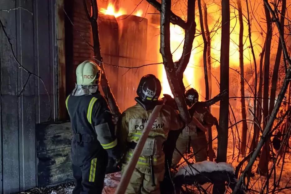 ГУ МЧС: серьезный пожар в селе Самарской области унес жизни двух местных жителей