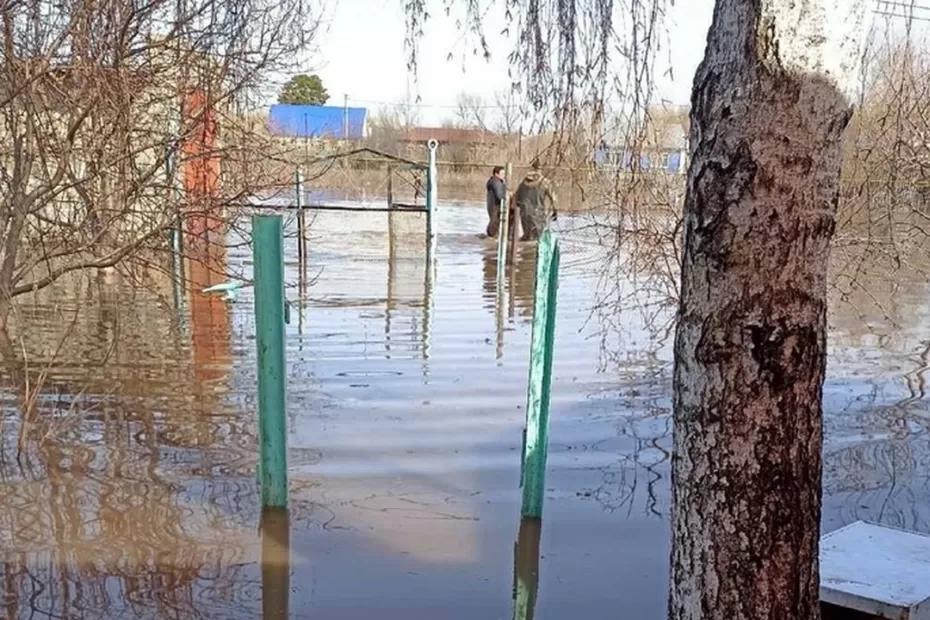 В Самаре объявлены торги на работы по определению зон затопления рек в области