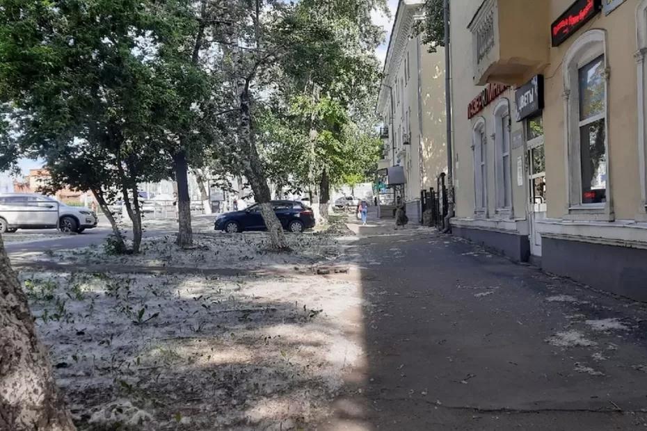 Стало известно, когда на всех улицах Самары смоет тополиный пух - дали прогноз