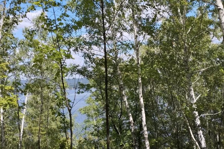 В Самарскую область возвращается 33-градусная жара В Самарскую область возвращается 33-градусная жара