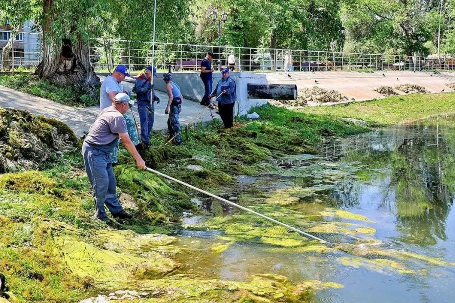 В самарском парке Металлургов уже очищено 60% поверхности озера Песчаное В самарском парке Металлургов уже очищено 60% поверхности озера Песчаное