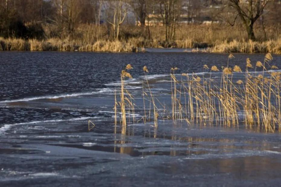 Эксперты: в Самаре пик весеннего паводка прогнозируется на начало мая 2026 года