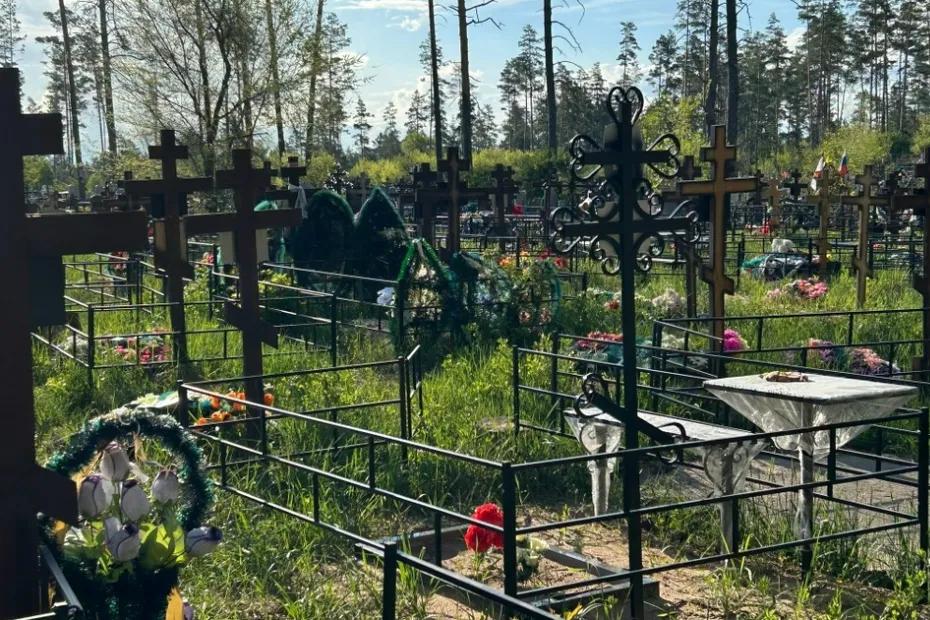 В Самаре расчистят 19 городских кладбищ от мусора