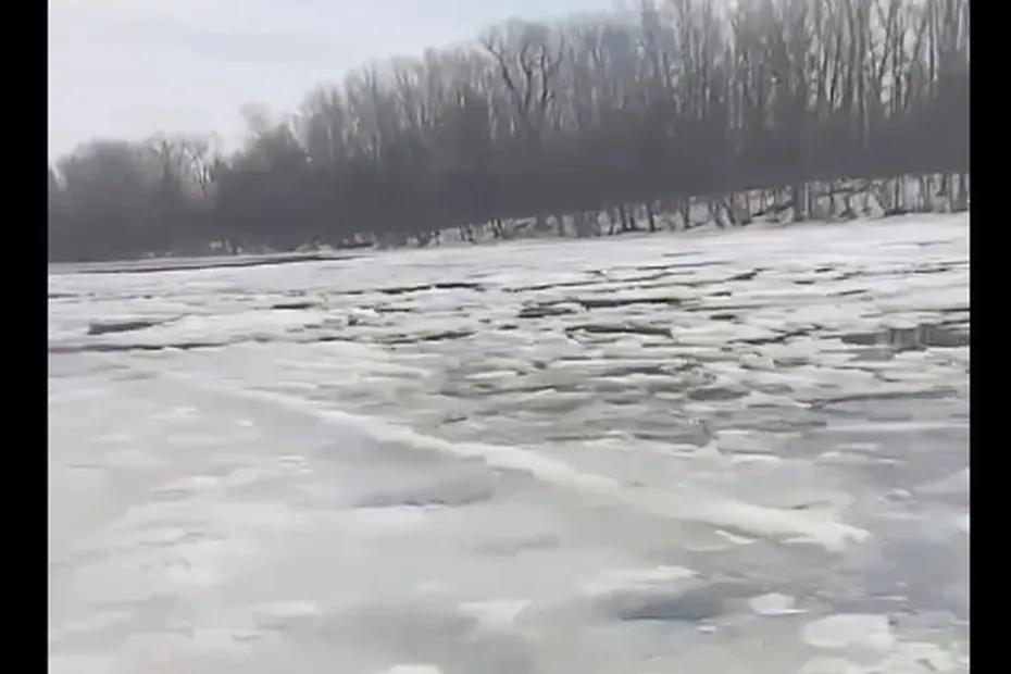 В Самарской области не подтвердили замор рыбы и разлив нефти