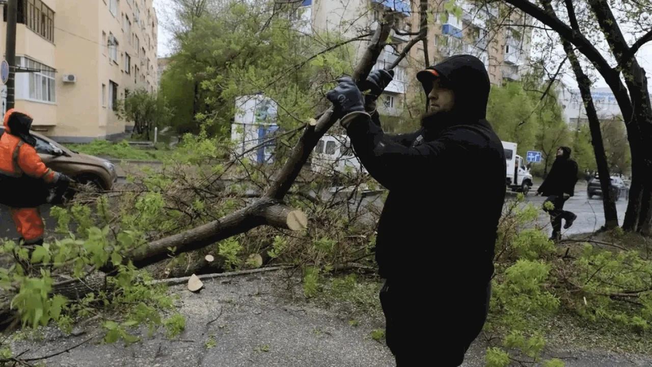 Глава Самары Иван Носков объяснил причины массовой вырубки деревьев в городе