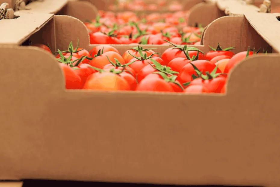 В аэропорту Самары задержали 31 партию продуктов без документов