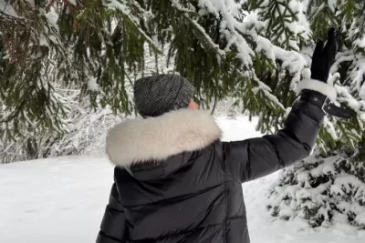 Скорпионам желательно провести день за городом, а Овны почувствуют творческий подъем