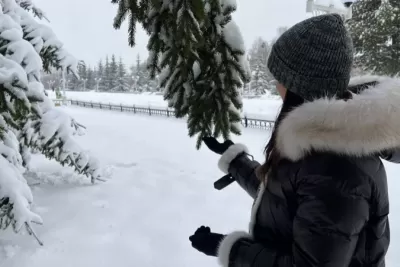 Звезды сулят Тельцам новую страницу в жизни, а Львам очень благоприятный день