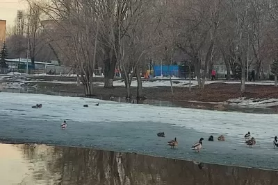 В Самаре третий этап благоустройства парка «Воронежские озера» начнется весной