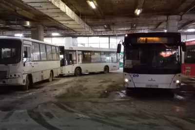 В Самаре планируют запустить 30 бесплатных автобусов вместо трамваев