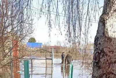 Из-за паводка вода в Волге помутнела, а Самару 26 и 27 апреля может подтопить