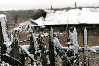 Снег, солнце и дождь: синоптики поделились прогнозом погоды в Самарской области