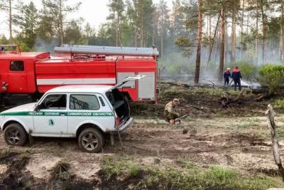 В Самарской области 6 мая ликвидирован крупный пожар в Рачейском лесничестве