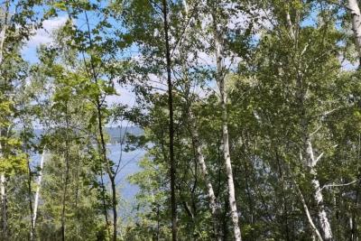 В Самарскую область возвращается 33-градусная жара