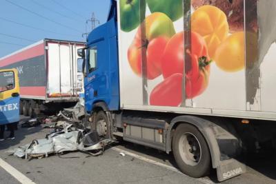 В Самарской области в страшном ДТП погибли 4 человека, включая двух детей