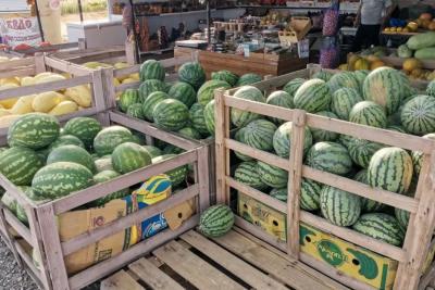 В магазинах Самары резко подешевели арбузы из Турции и Дагестана до 59 рублей
