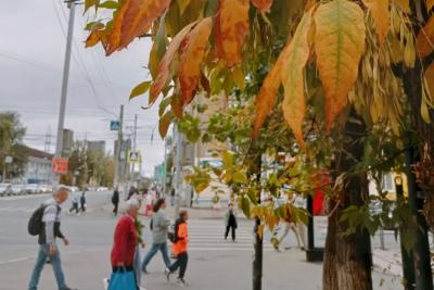 Самара стала лидером по уровню счастья: самарцы удовлетворены жизнью больше других россиян