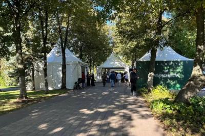 14 сентября в Струковском саду проходит ярмарка «Читающая Самара»: снято на фото