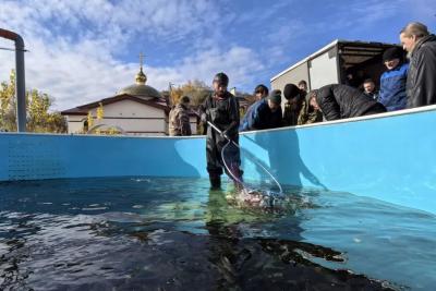 Энергетики «Т Плюс» выпустили более 19 тысяч мальков толстолобика в Волгу