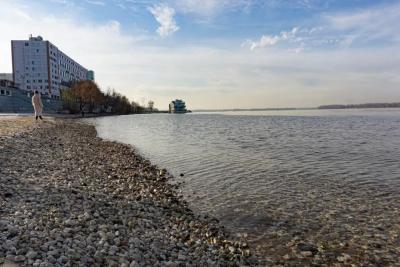 Для оздоровления реки Волги в Самаре было выпущено более 20 тысяч мальков