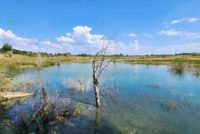 Названы причины ограничения доступа на территории Мазутных озер в Самаре