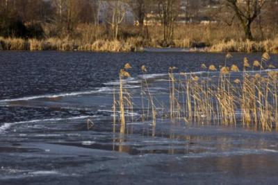 Эксперты: в Самаре пик весеннего паводка прогнозируется на начало мая 2026 года