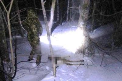 В Исаклинском районе мужчина задержан за незаконную охоту на косуль