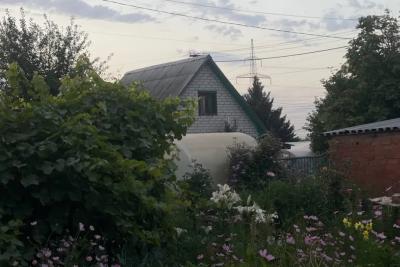 Самарским дачникам могут разрешить участвовать в собраниях СНТ онлайн