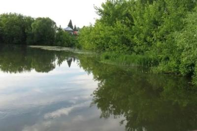 В Самарской области выясняют обстоятельства гибели трех детей на воде