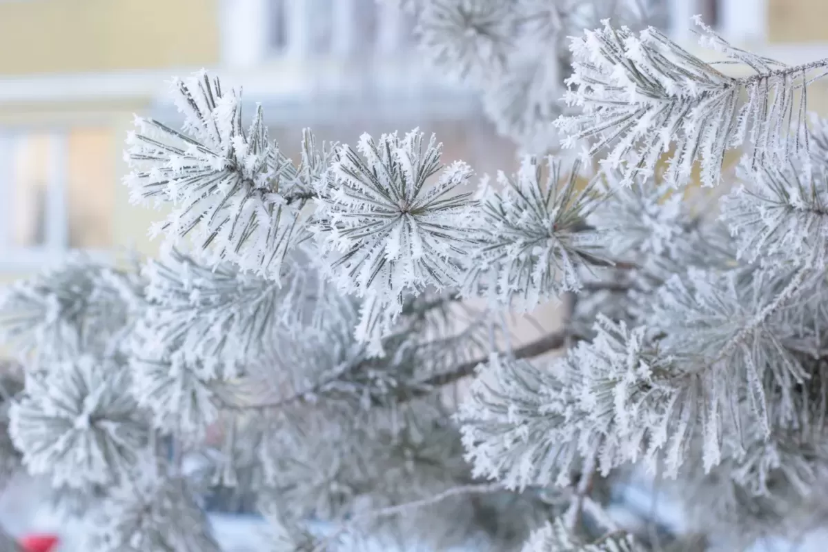 В Самарской области ожидаются морозы до -34 градусов