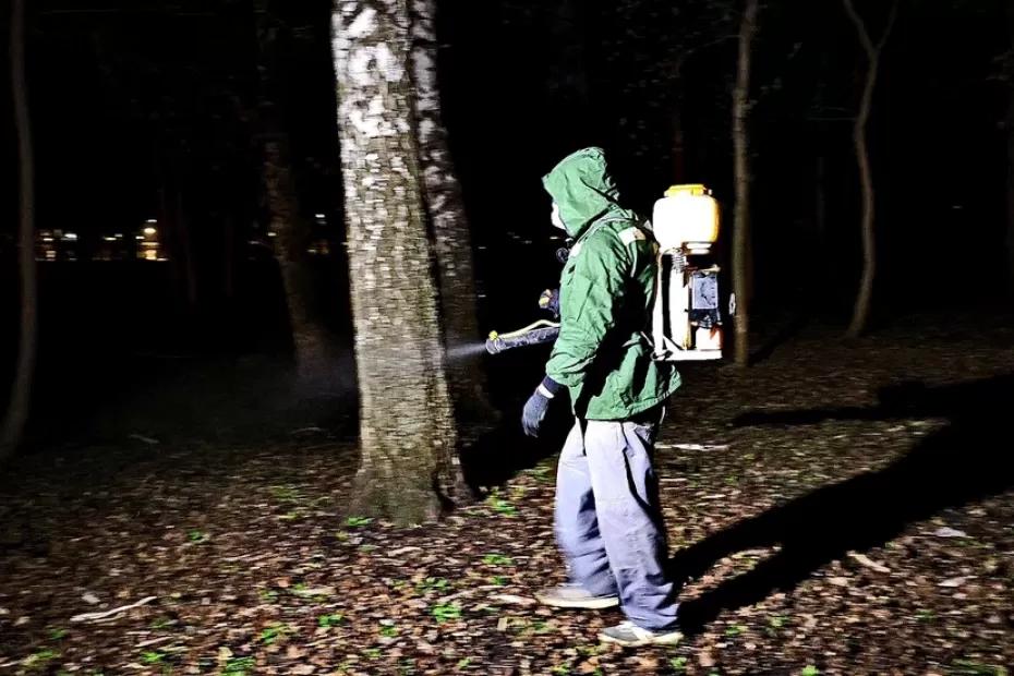 В Самарской области клещи покусали более 2 500 человек В Самарской области клещи покусали более 2 500 человек