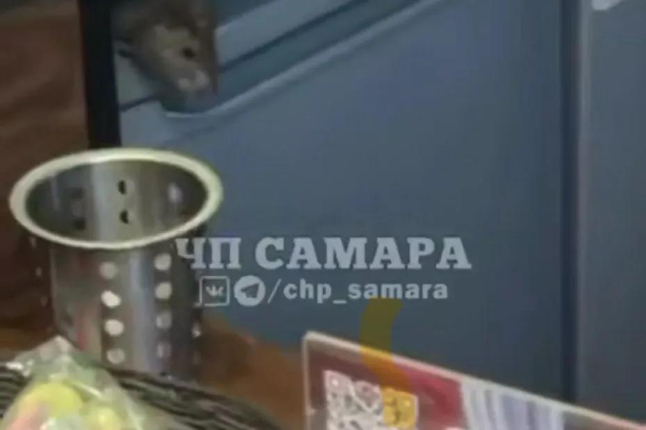 Самарцы заметили крысу в кофейне фудхолла  и сняли ее на видео