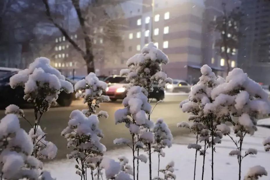 Средиземноморский фронт принес тепло в Самарскую область