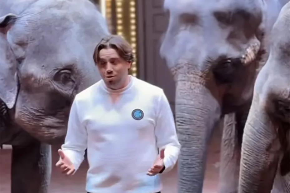 Дрессировщик рассказал подробности побега слонихи из цирка в Самаре