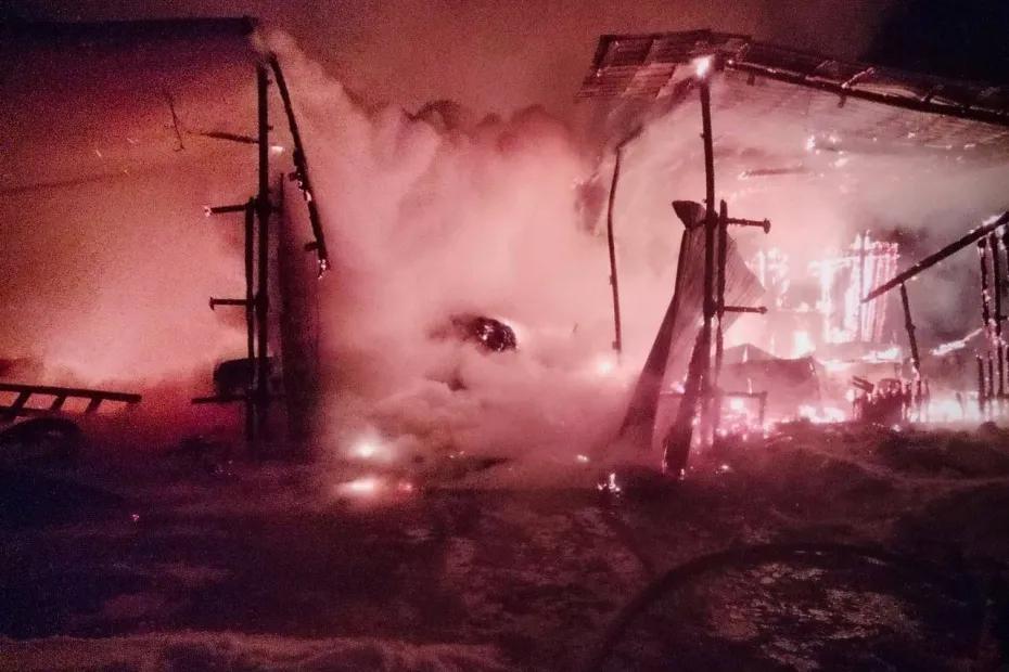 Овцы, куры и козы могут пострадать в сильном пожаре на ферме в Самарской области: что известно на данный момент