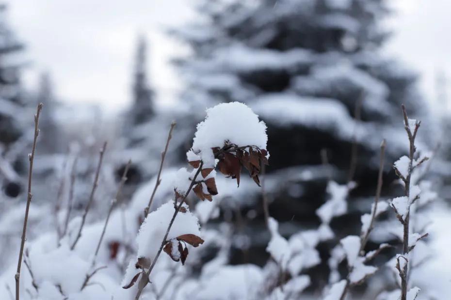Снежные заносы ожидаются в Самарской области ночью и утром 9 февраля