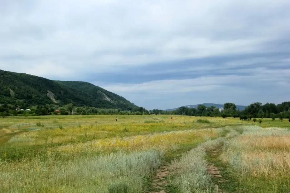 Более 400 гектаров заросших сельхозземель обнаружено в Самарской области