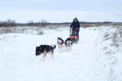 В Самарской области состоялся зимний «Хаски Трип»