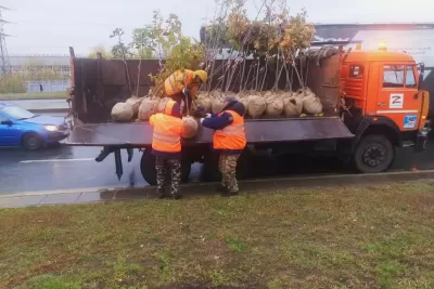 В парке Мира в Октябрьском районе выборочно вырубят только аварийные деревья